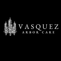 Vasquez Arbor Care
